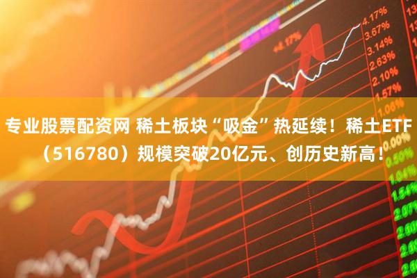 专业股票配资网 稀土板块“吸金”热延续！稀土ETF（516780）规模突破20亿元、创历史新高！