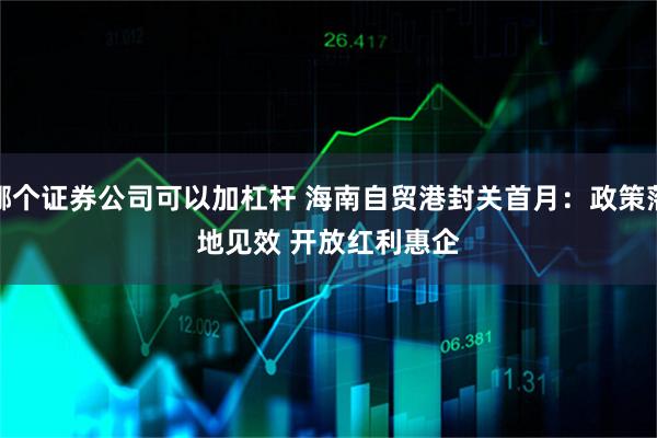 哪个证券公司可以加杠杆 海南自贸港封关首月：政策落地见效 开放红利惠企